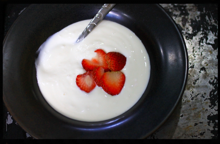 yogurt5