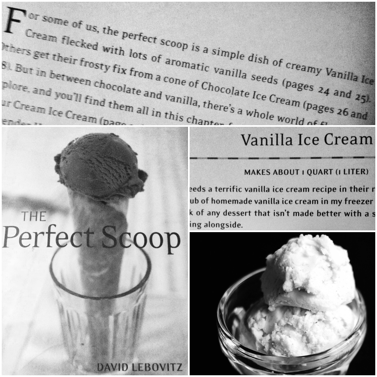 perfect scoop ice cream