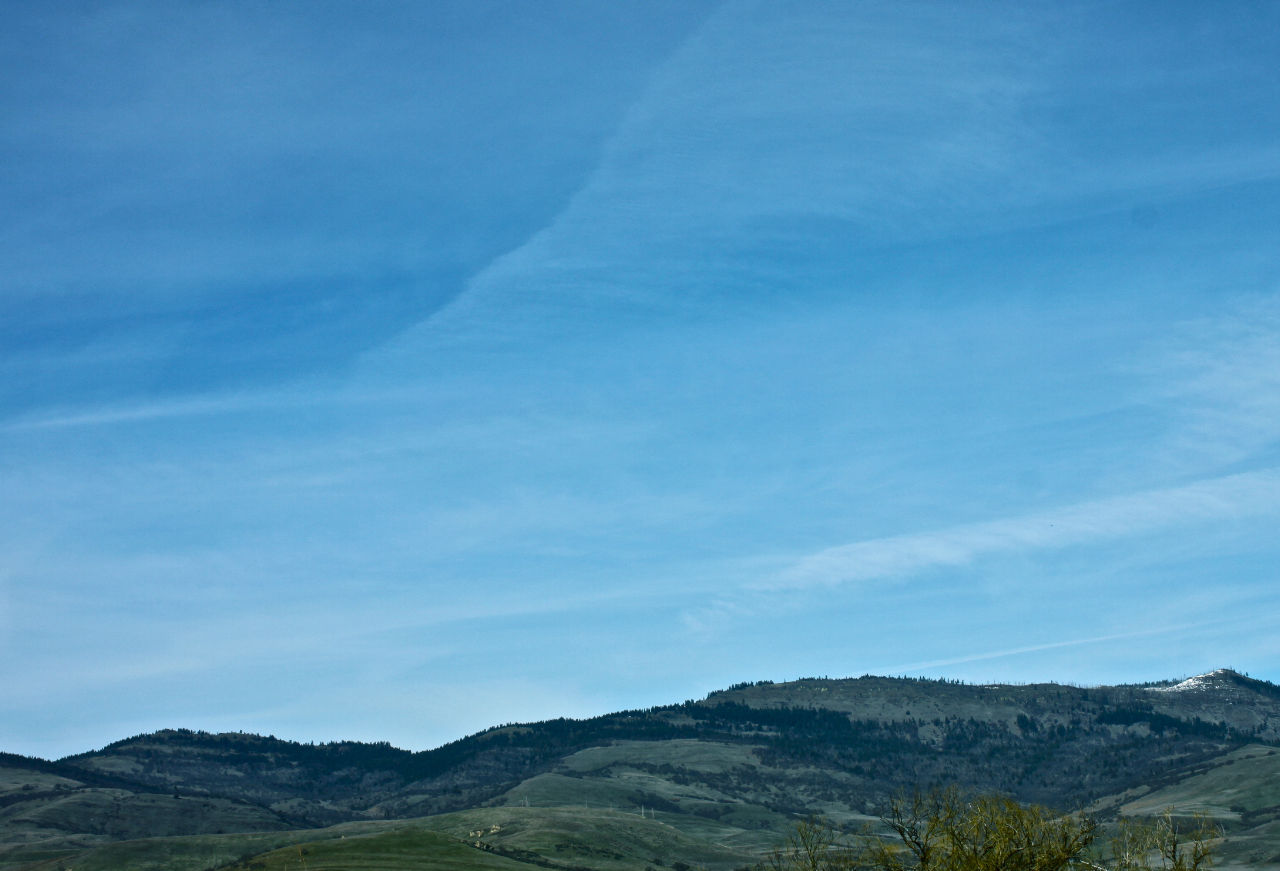 Forbidden Rice Blog | Ashland Oregon