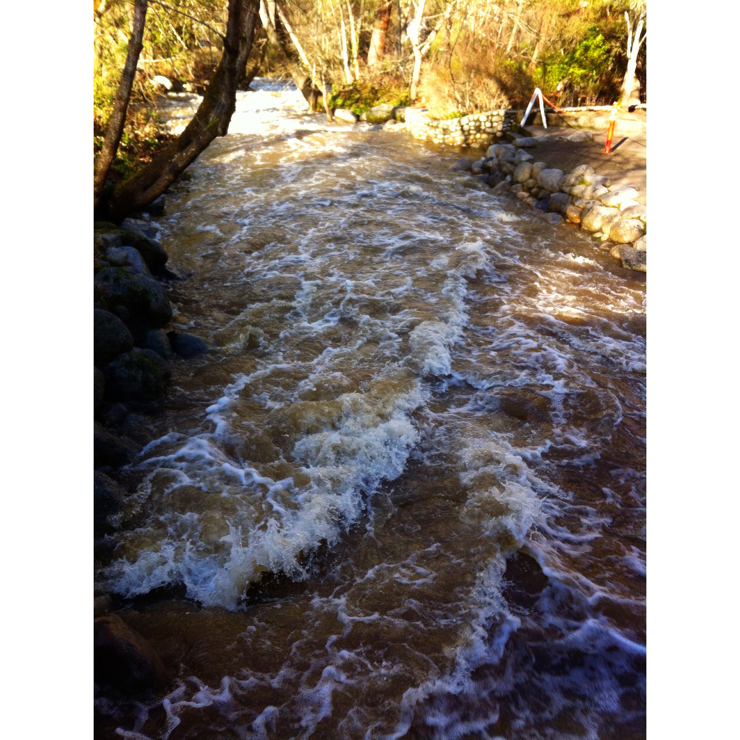 Day to Day Life: Week 6 | Forbidden Rice Blog | photography, Ashland Oregon