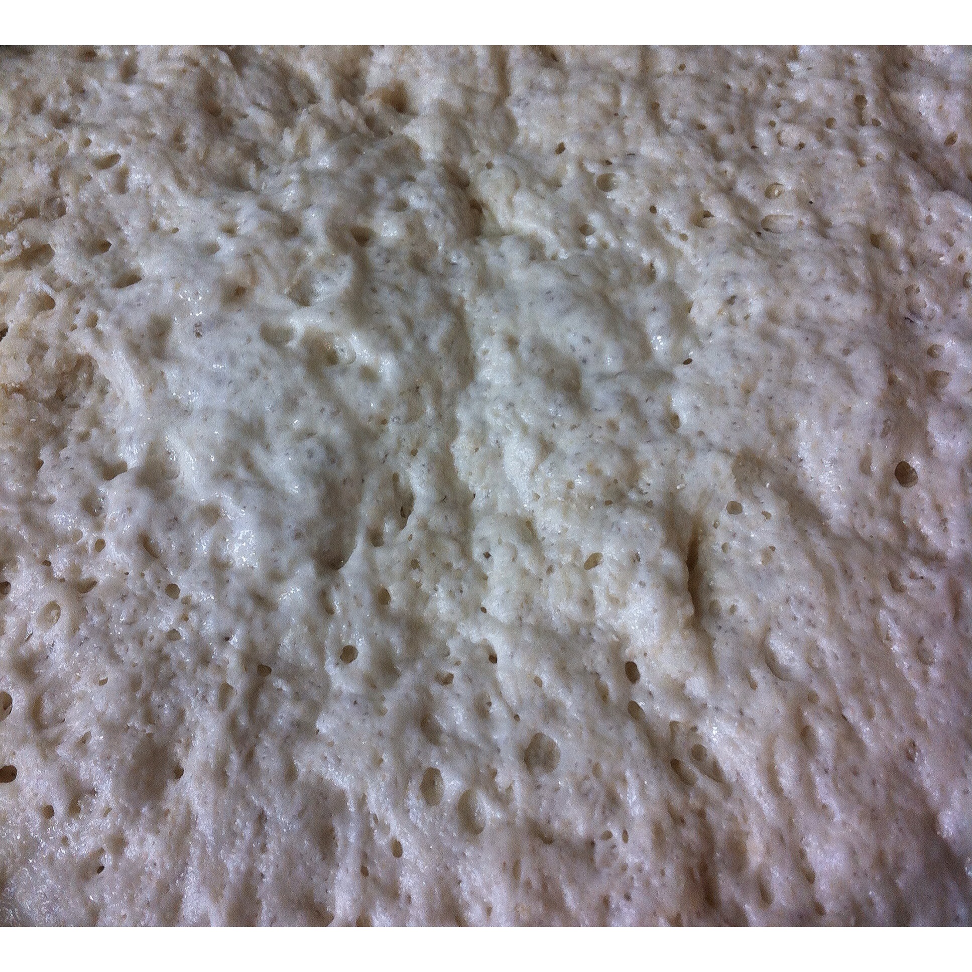 Forbidden Rice Blog | Pizza Dough