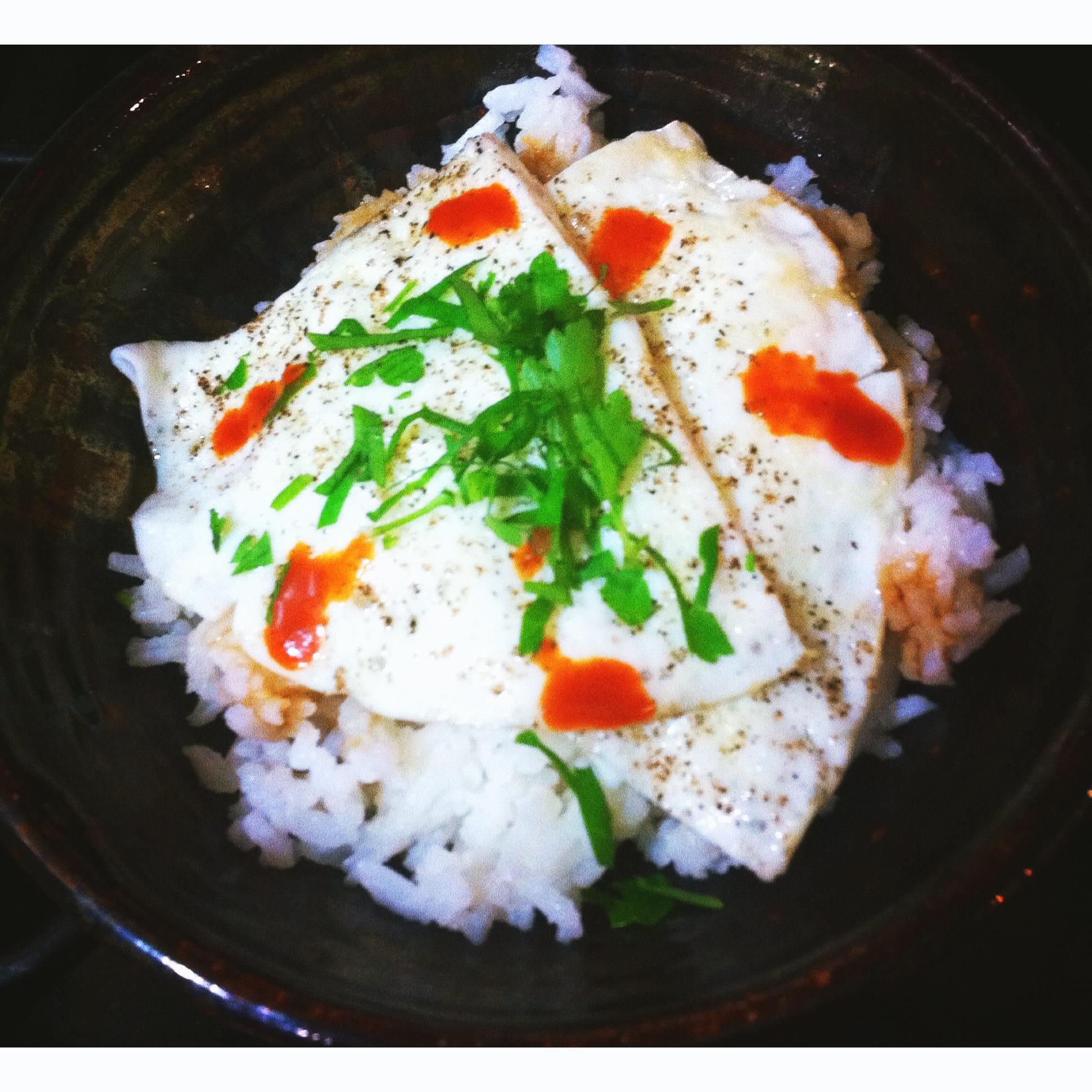 Forbidden Rice Blog | Day to Day Life Week 5 - 2015
