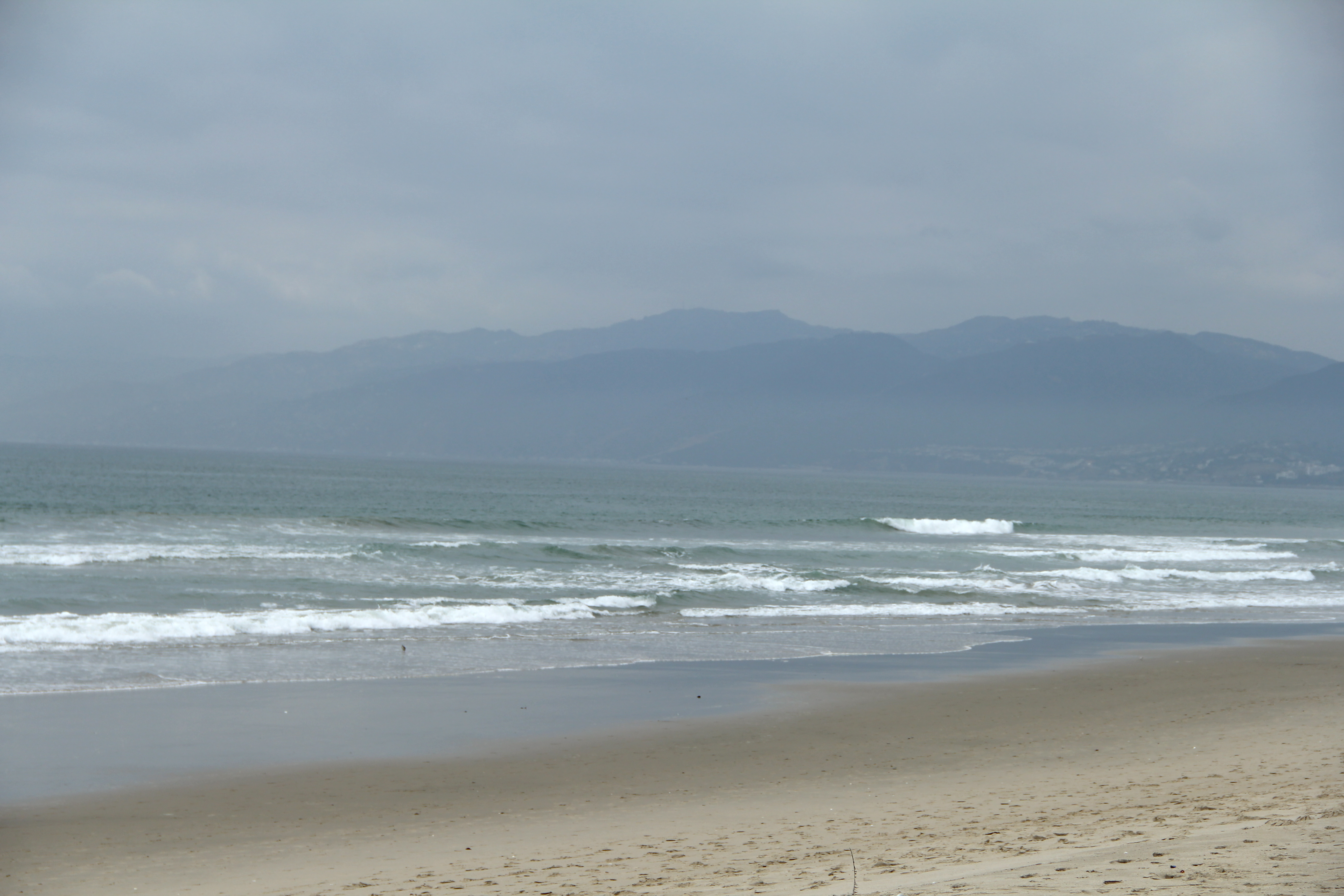 Venice Beach California © Forbidden Rice Blog 2015