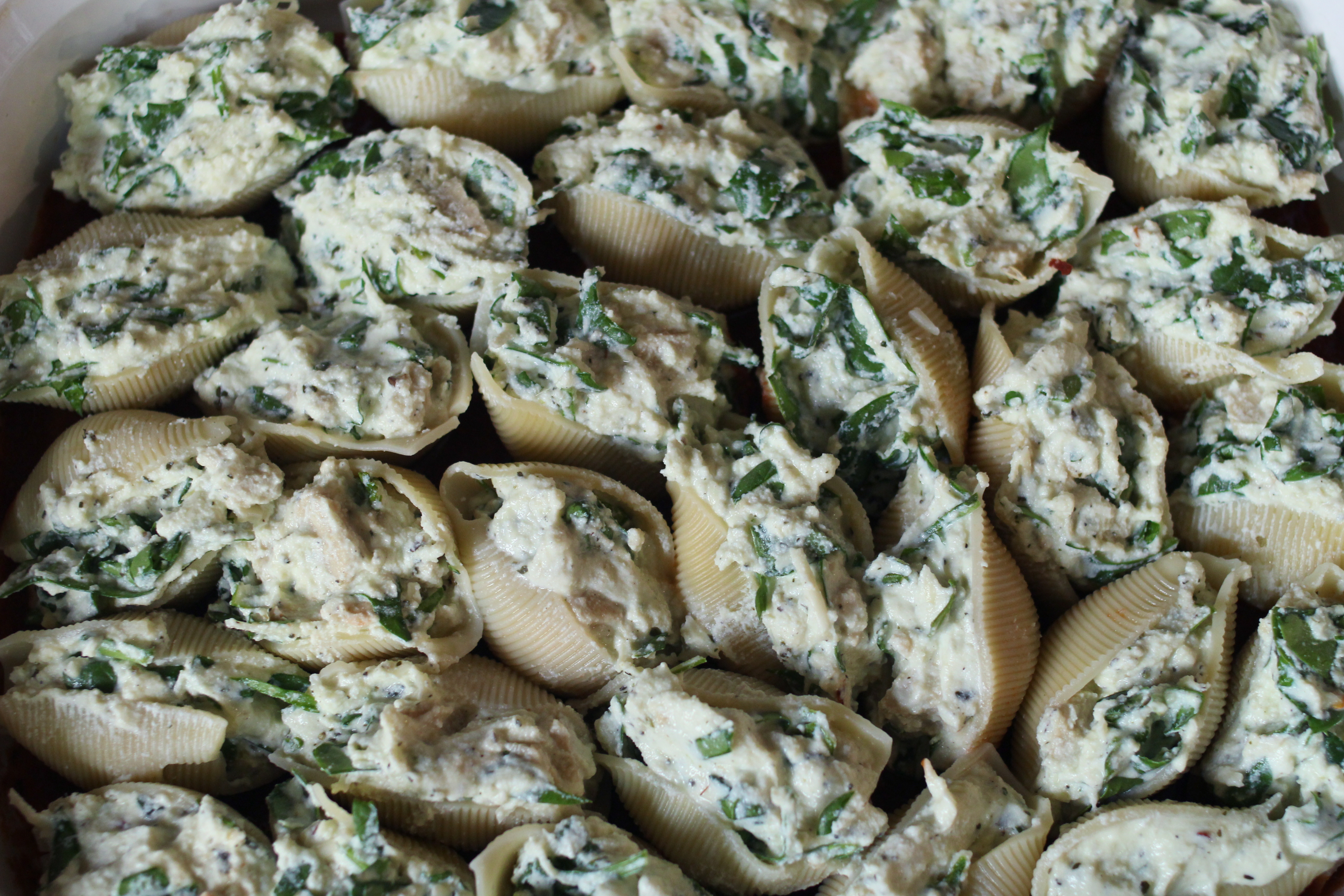 Forbidden Rice Blog | Spinach and Cheese Stuffed Shells
