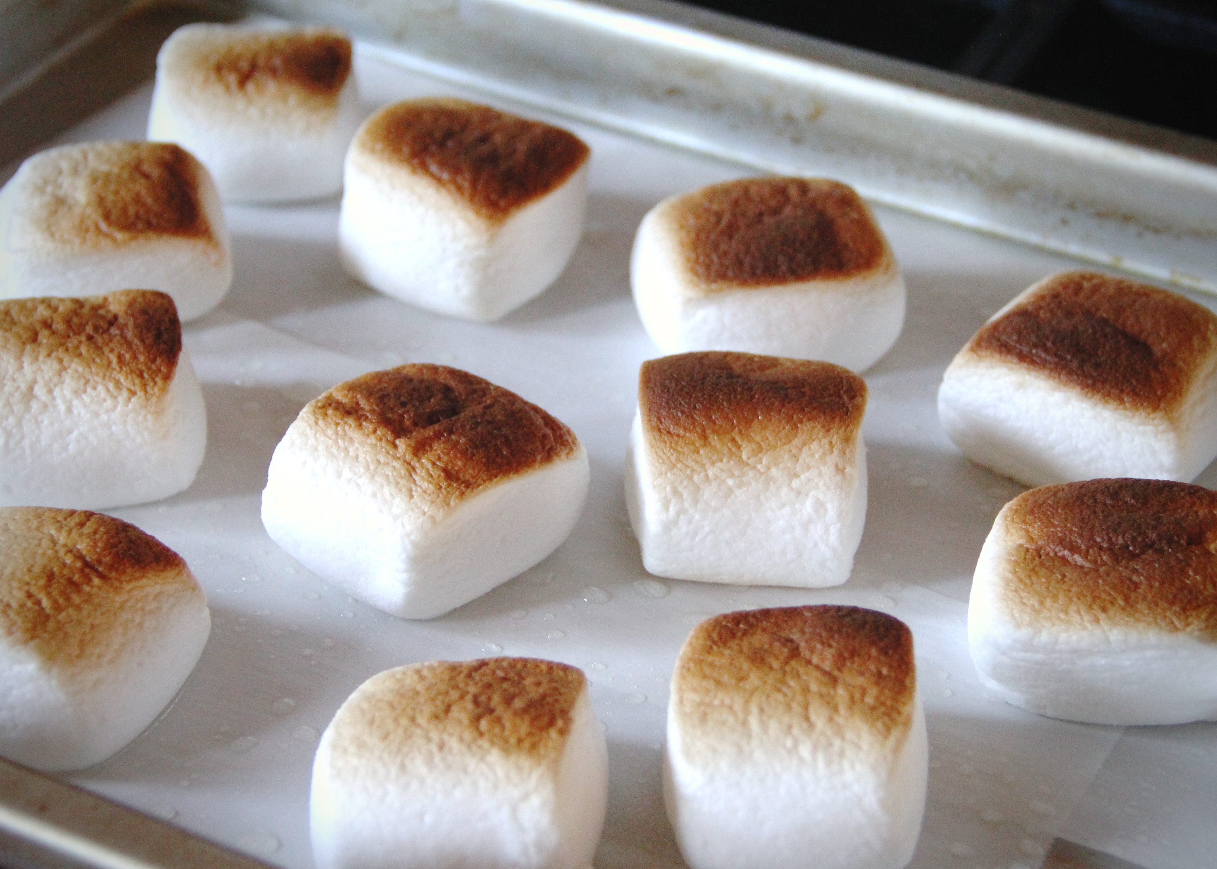 Forbidden Rice Blog | S'mores Cake with Toasted Marshmallow Buttercream Frosting