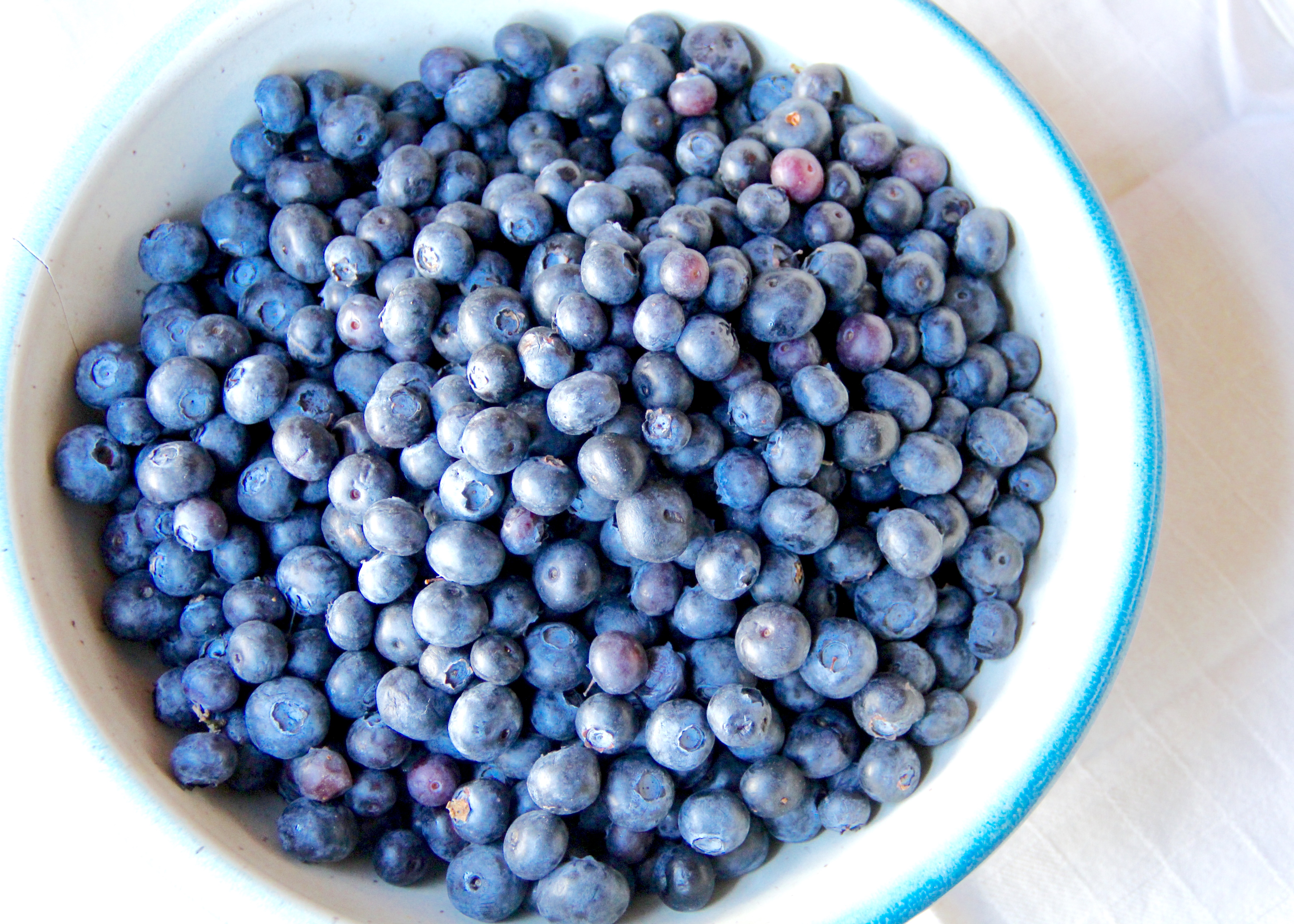 Forbidden Rice Blog | Blueberry Pie