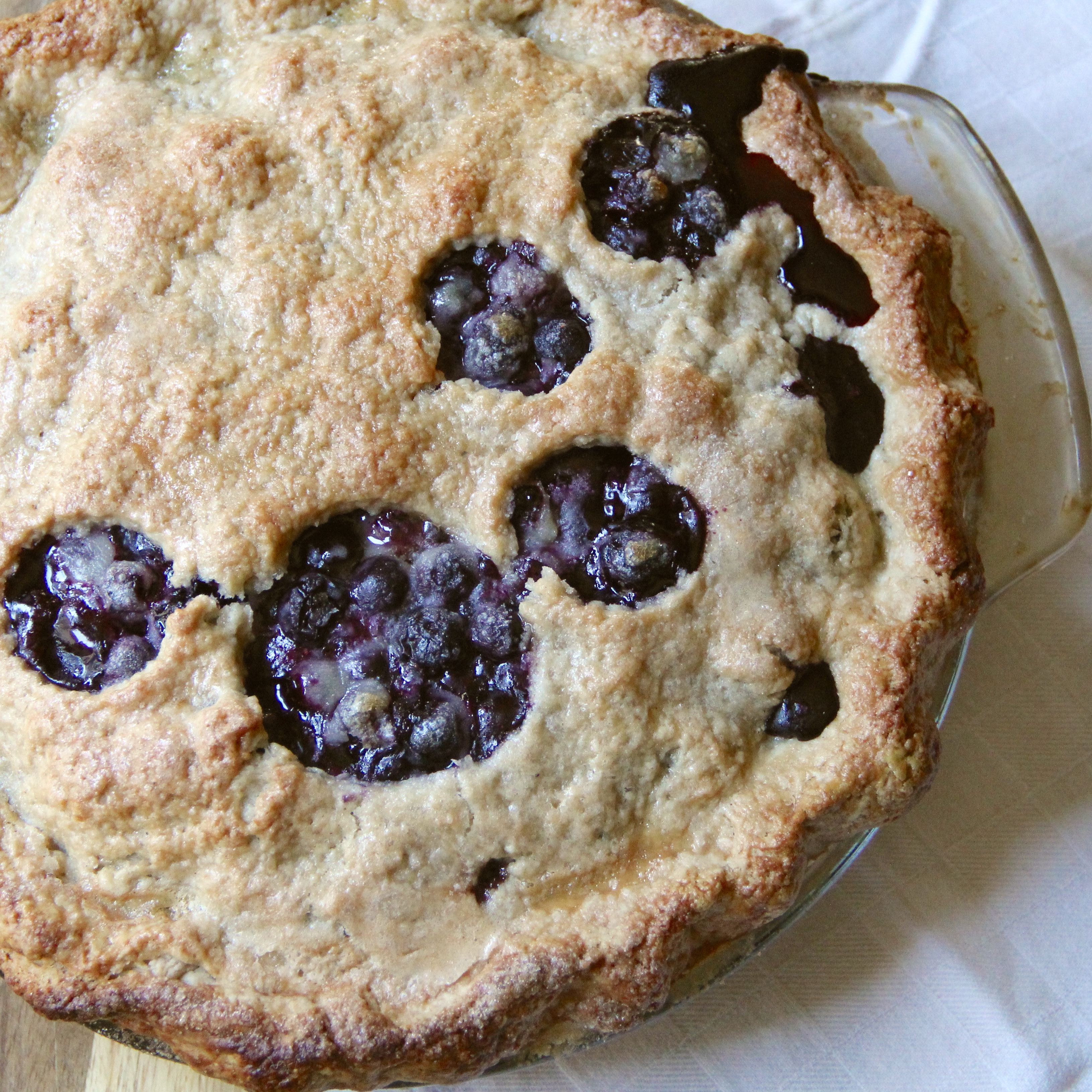 Forbidden Rice Blog | Blueberry Pie