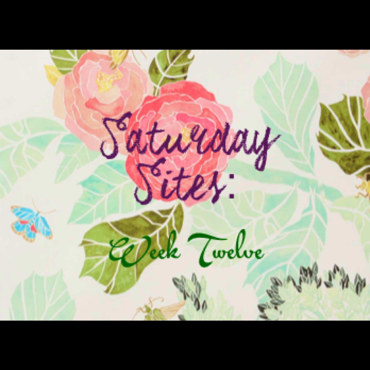 Saturday Sites - 12