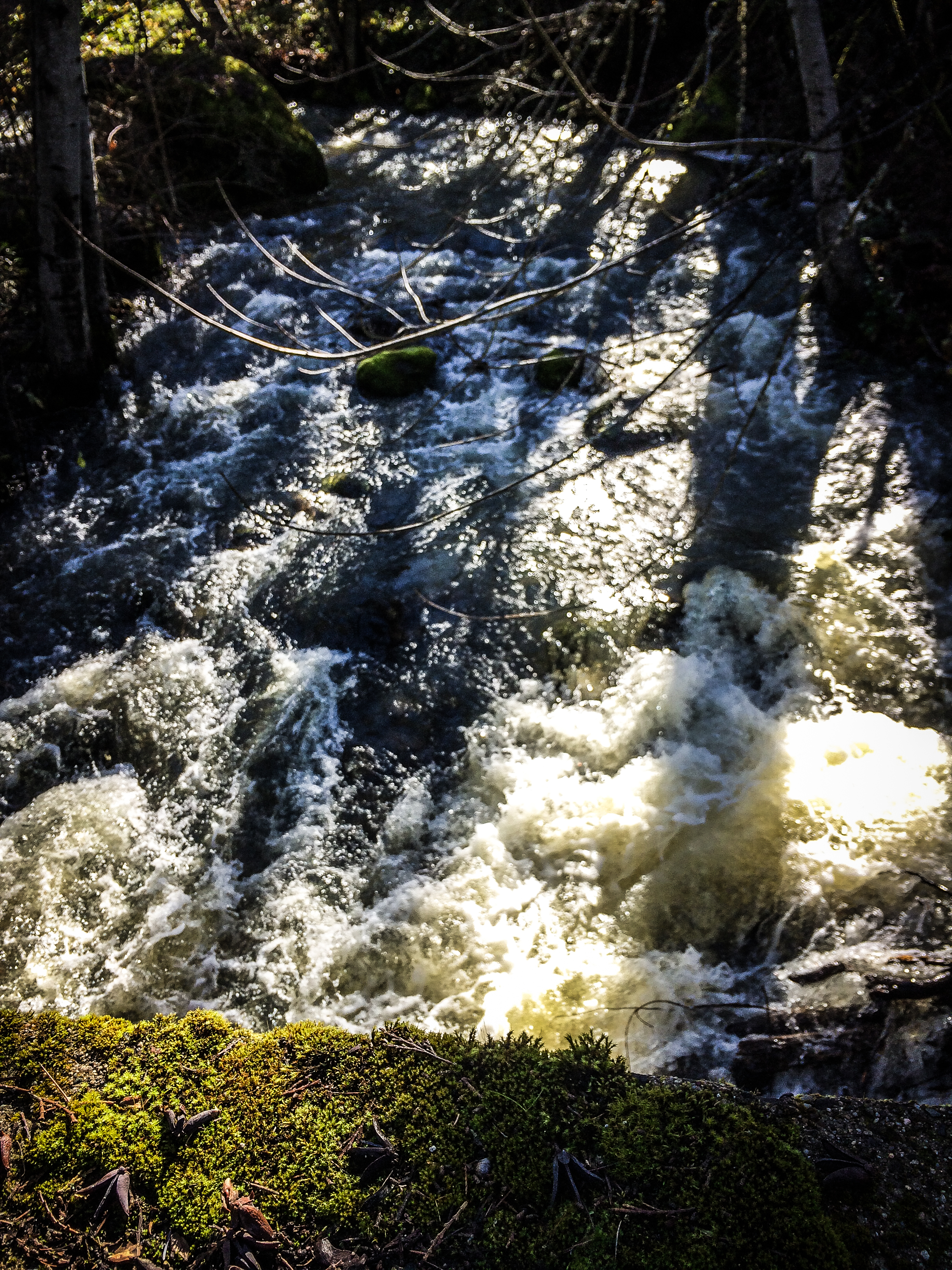 Forbidden Rice Blog, Photos, Photographs, Everyday Life, Everyday Photos, Photography, Ashland, Ashland Oregon